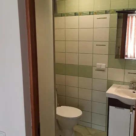 Nelli Apartamentai * Druskininkai