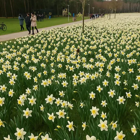 Nelli Apartamentai Apartment