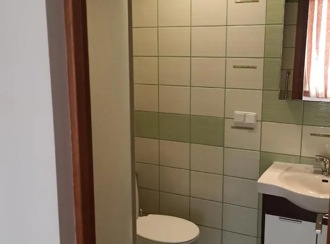 Nelli Apartamentai * Druskininkai